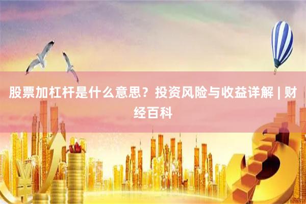 股票加杠杆是什么意思？投资风险与收益详解 | 财经百科
