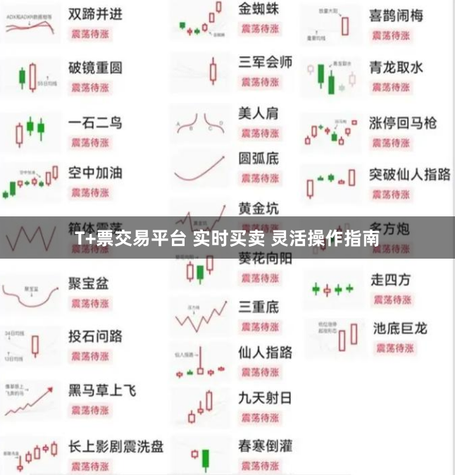 T+票交易平台 实时买卖 灵活操作指南